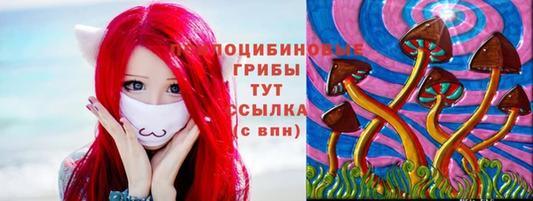 а пвп мука Верхний Тагил