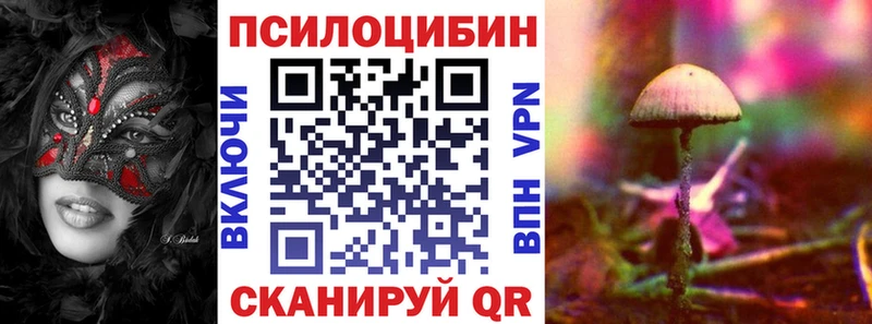 Псилоцибиновые грибы Psilocybe  Бердск 
